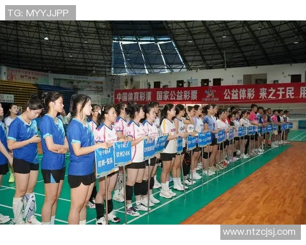 排球精神：深入杭州排球队的默契与协作之道