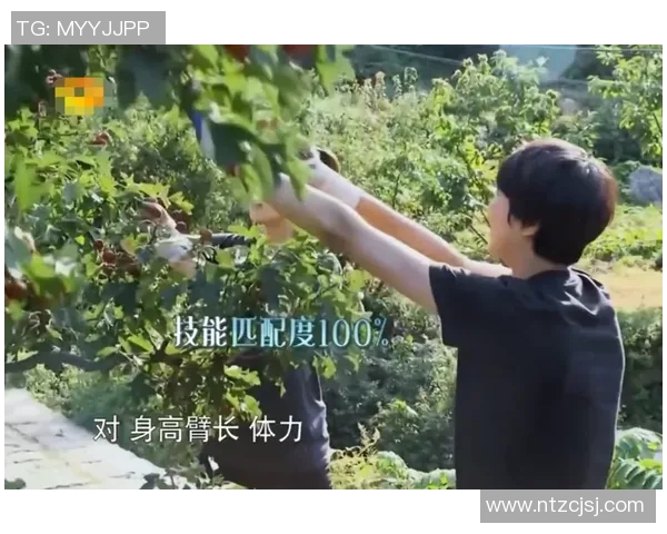 黄磊亲自分享排球技巧与心得体会助你提升球技